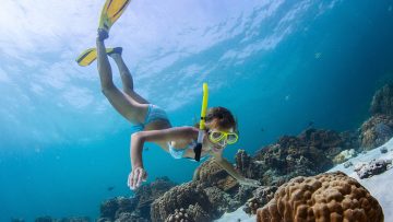 snorkeling-coral-reef